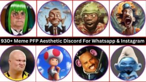 930+ Meme Pfp Aesthetic Discord For Whatsapp & Instagram