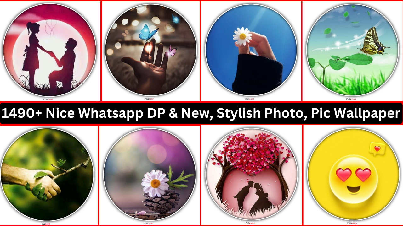 149+ Nice Whatsapp Dp & New, Stylish Photo, Pic Wallpaper