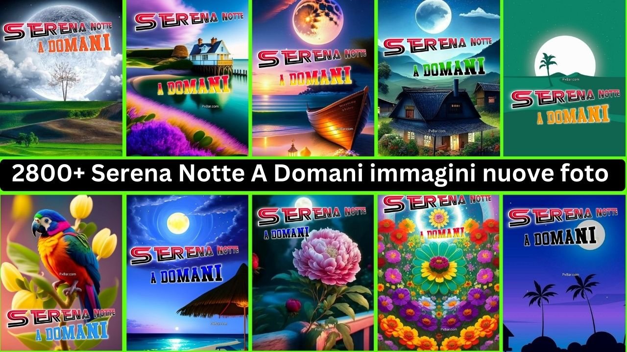 2800+ Serena Notte A Domani Immagini Nuove Foto