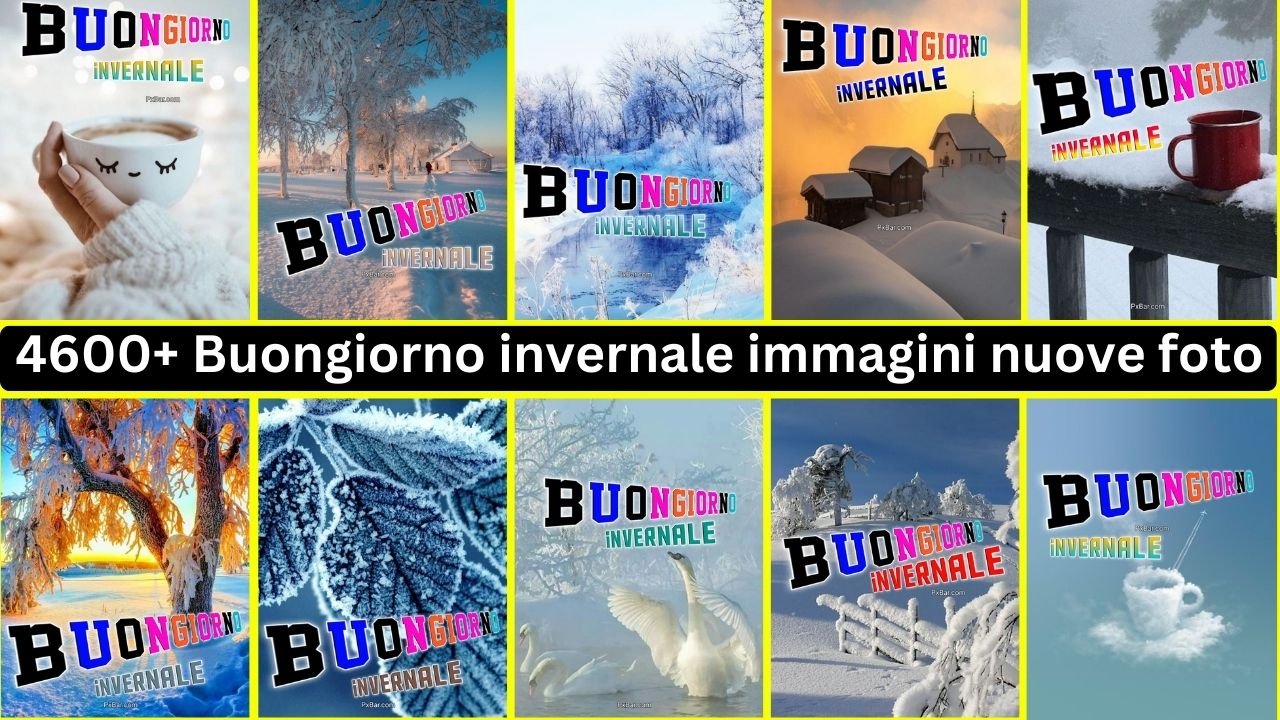 4600+ Buongiorno Invernale Immagini Nuove Foto