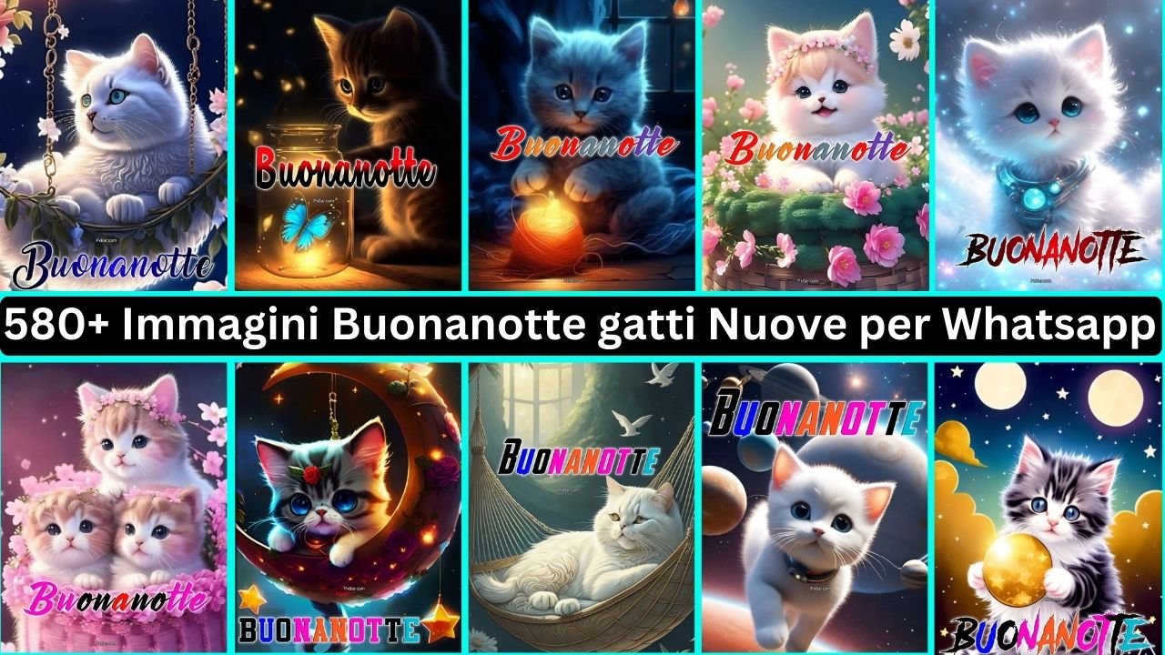 580+ Immagini Buonanotte Gatti Nuove Per Whatsapp