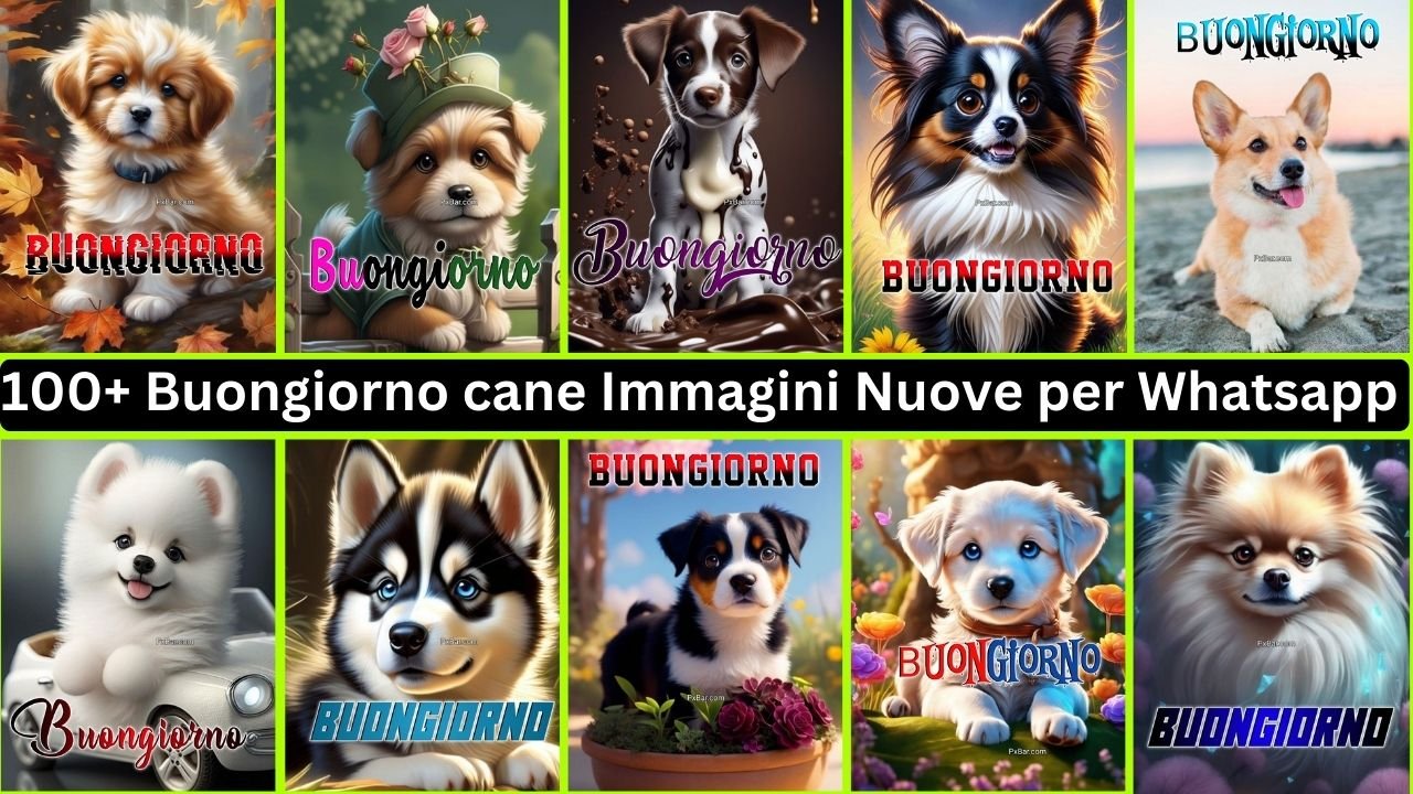 Buongiorno Cane Immagini Nuove Per Whatsapp