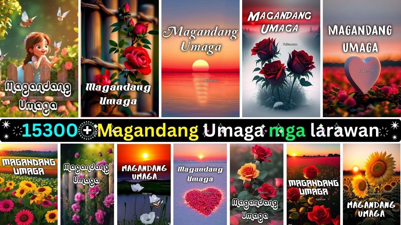 1300+ Magandang Umaga Mga Larawan At Wallpaper