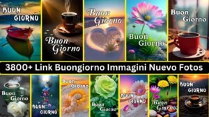3800+ Link Buongiorno Immagini Nuevo Fotos