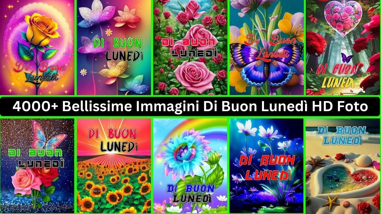 4000+ Bellissime Immagini Di Buon Lunedì Hd Foto