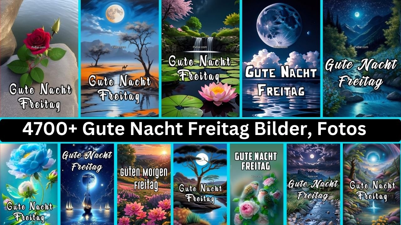 4700+ Gute Nacht Freitag Bilder, Fotos