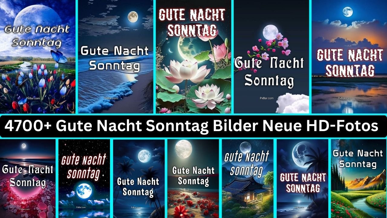 4700+ Gute Nacht Sonntag Bilder Neue Hd-fotos