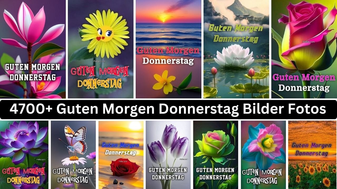 4700+ Guten Morgen Donnerstag Bilder Fotos