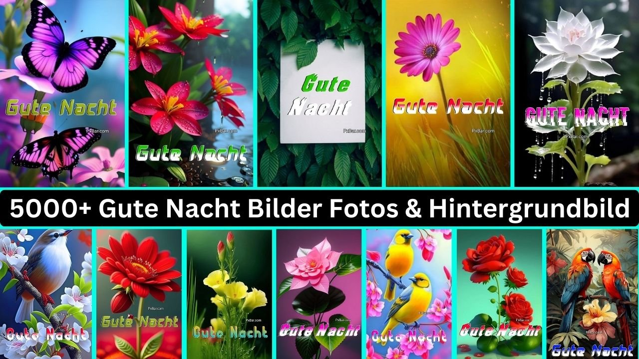 5000+ Gute Nacht Bilder Fotos