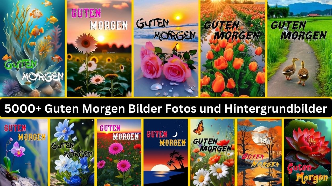 5000+ Guten Morgen Bilder Fotos