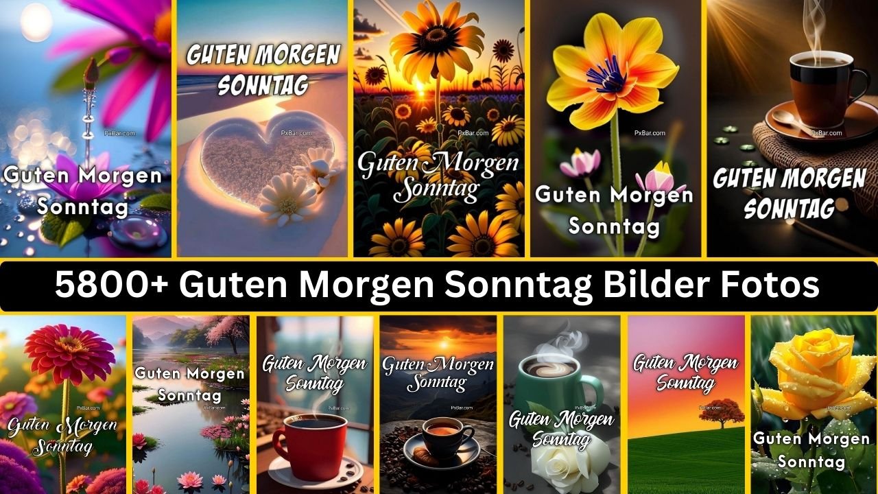 5800+ Guten Morgen Sonntag Bilder Fotos