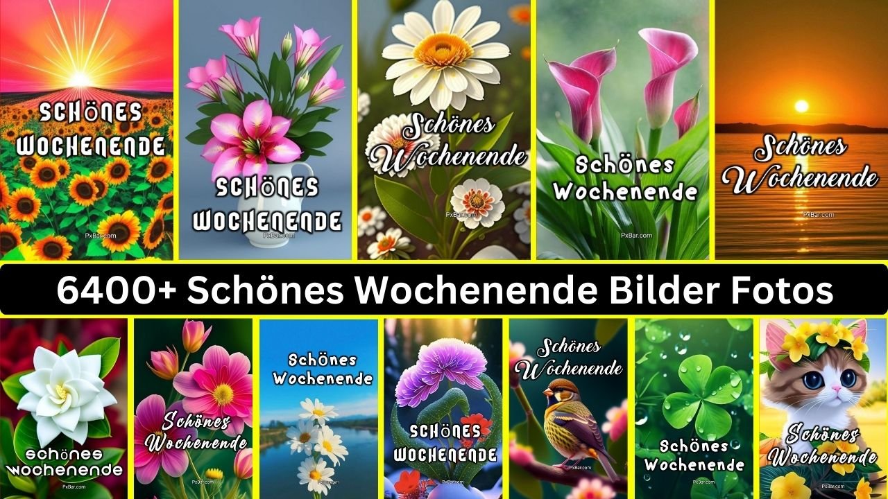 6400+ Schönes Wochenende Bilder Fotos