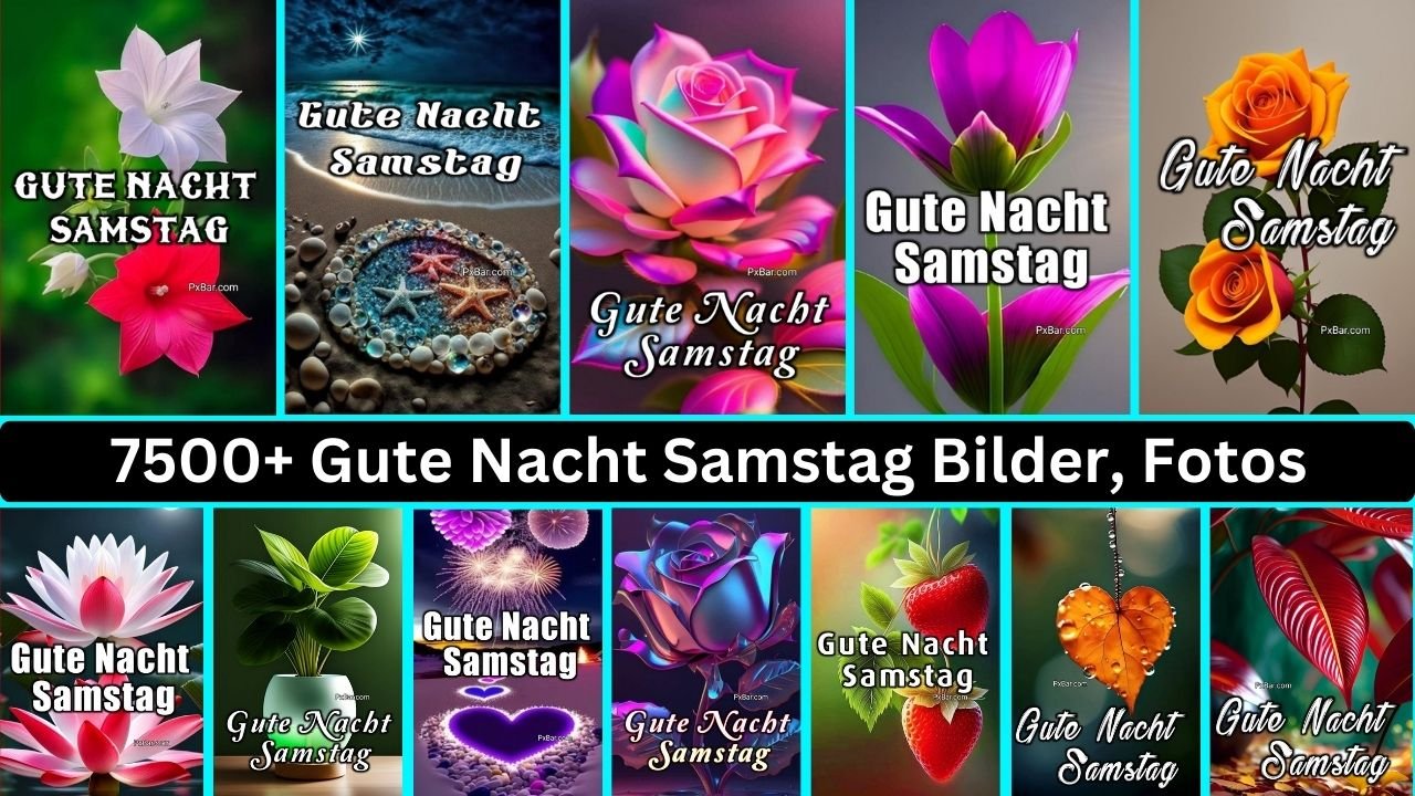 7500+ Gute Nacht Samstag Bilder, Fotos