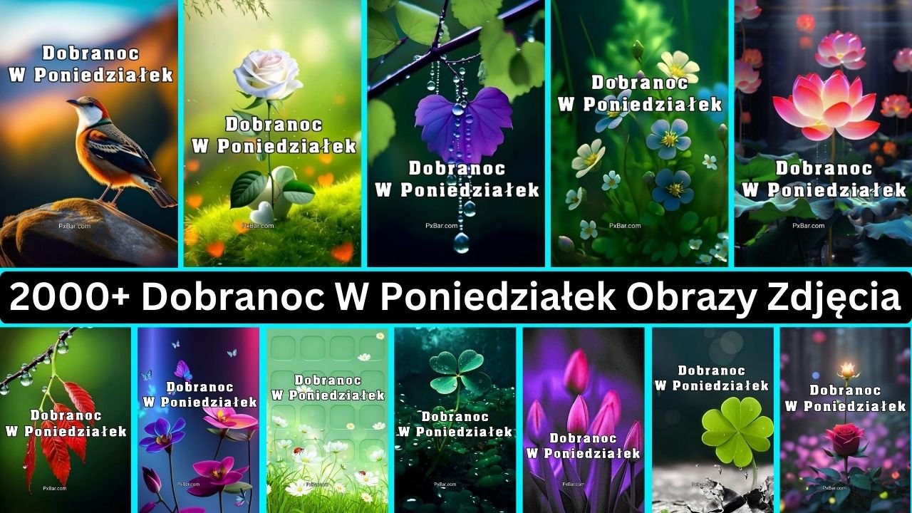 2000+ Dobranoc W Poniedziałek Obrazy Zdjęcia