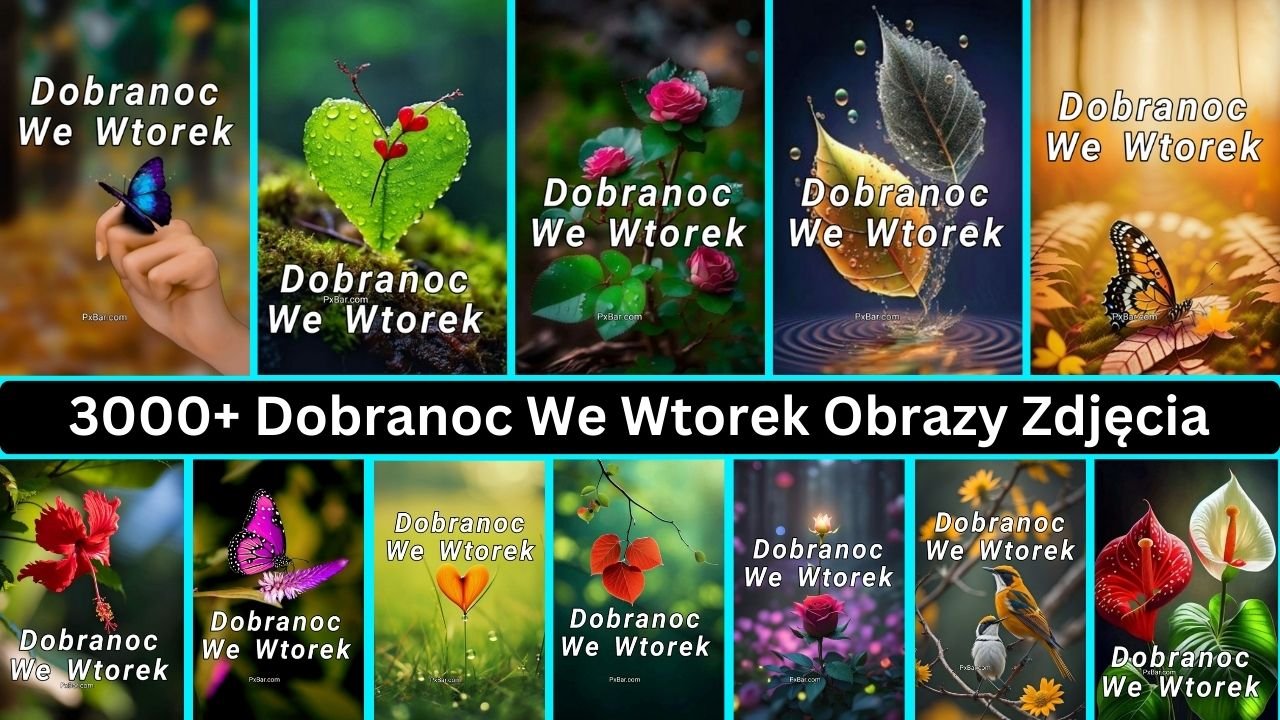 3000+ Dobranoc We Wtorek Obrazy Zdjęcia