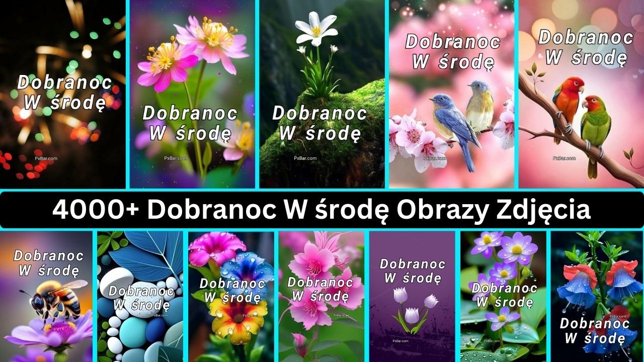 4000+ Dobranoc W środę Obrazy Zdjęcia