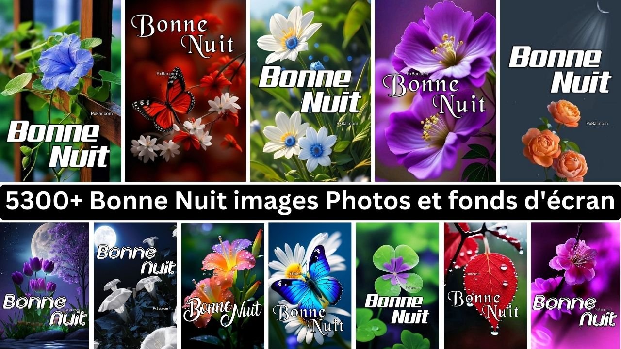 5300+ Bonne Nuit Images Photos Et Fonds D'écran