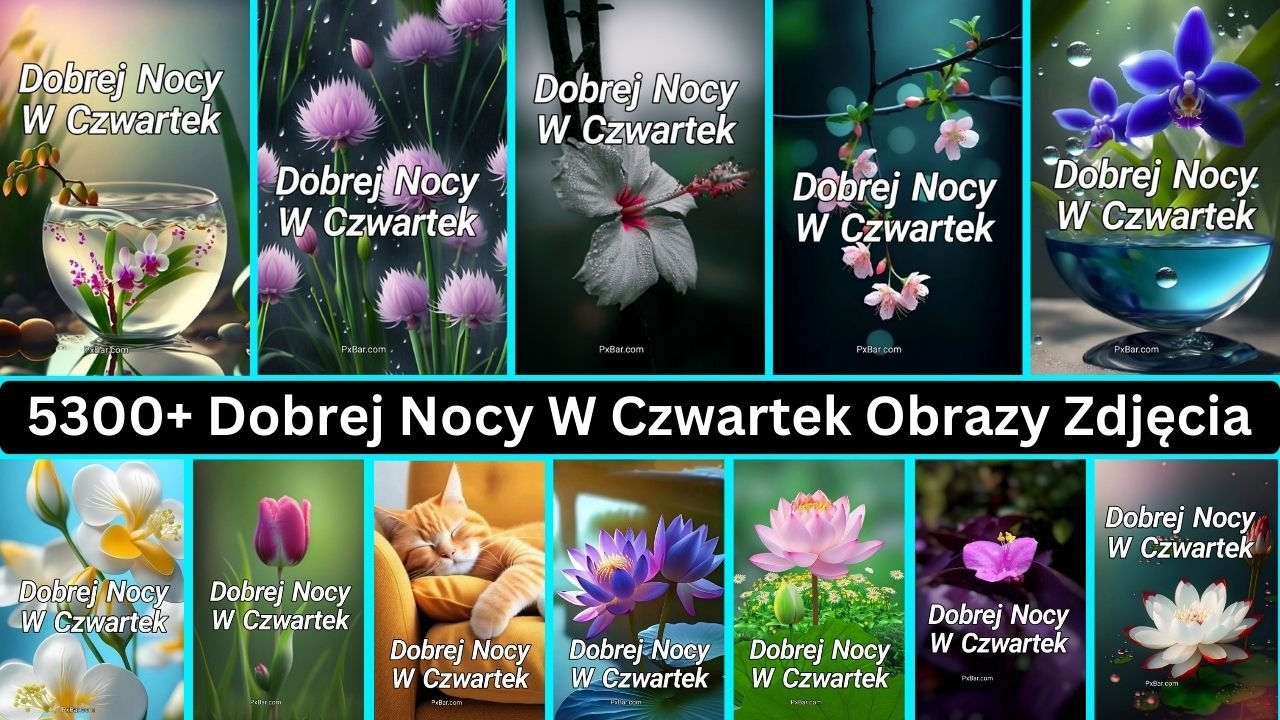 5300+ Dobrej Nocy W Czwartek Obrazy Zdjęcia