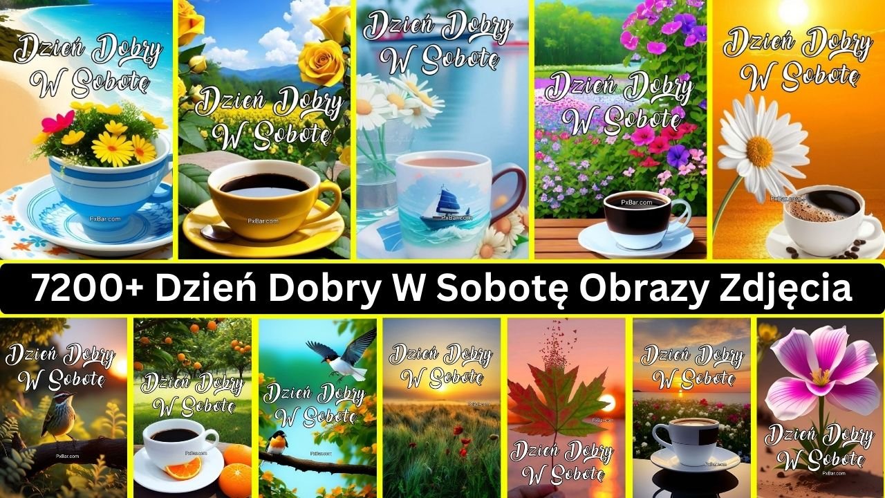 7200+ Dzień Dobry W Sobotę Obrazy Zdjęcia