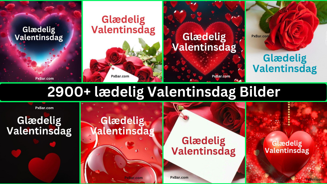 2900+ Lædelig Valentinsdag Bilder