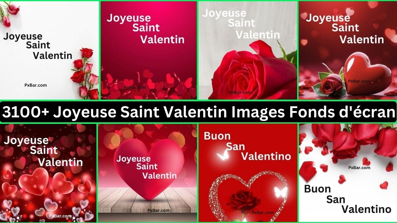 3100+ Joyeuse Saint Valentin Images Fonds D'écran