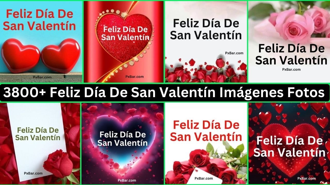 3800+ Feliz Día De San Valentín Imágenes Fotos