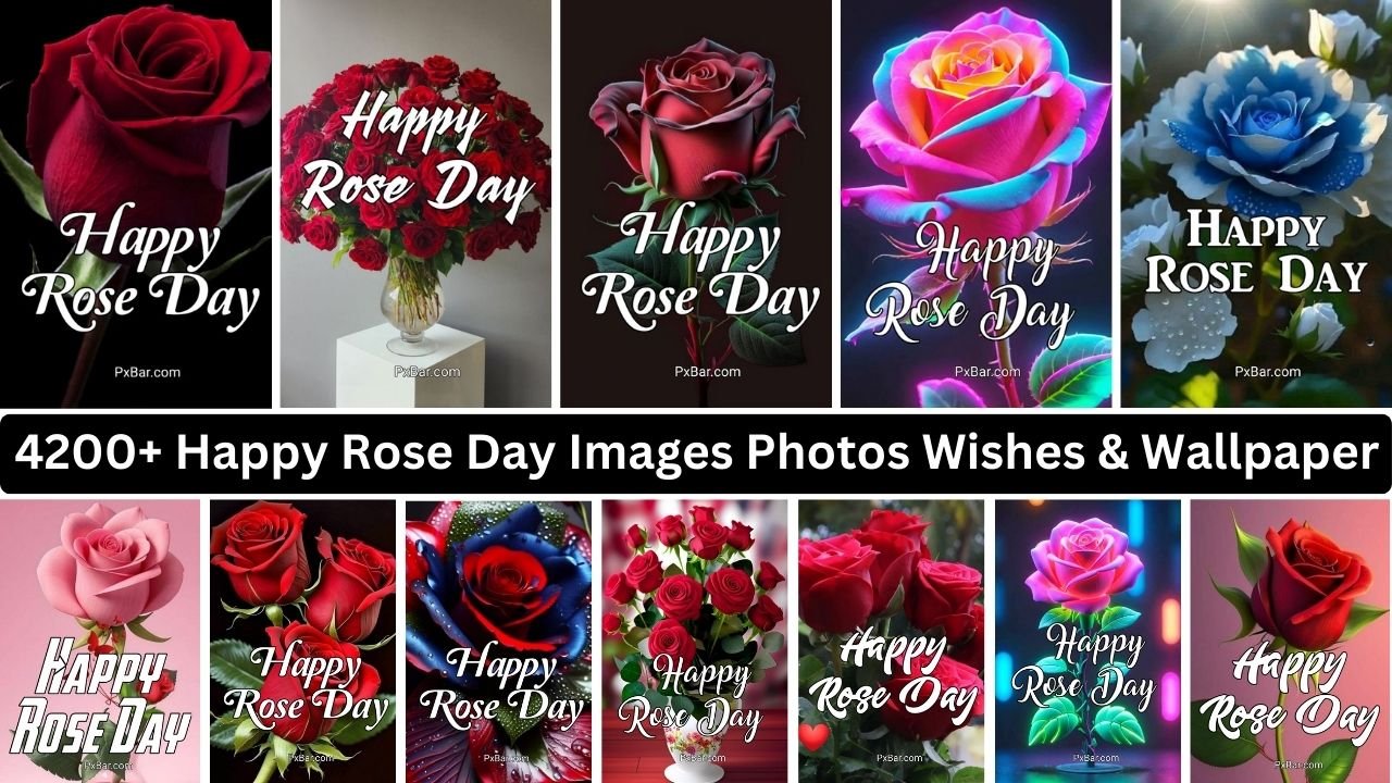 4200+ Happy Rose Day Images Photos Wishes & Wallpaper