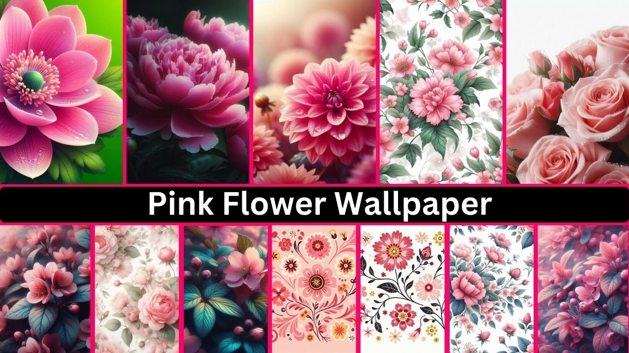 Pink Flower Wallpaper 4k