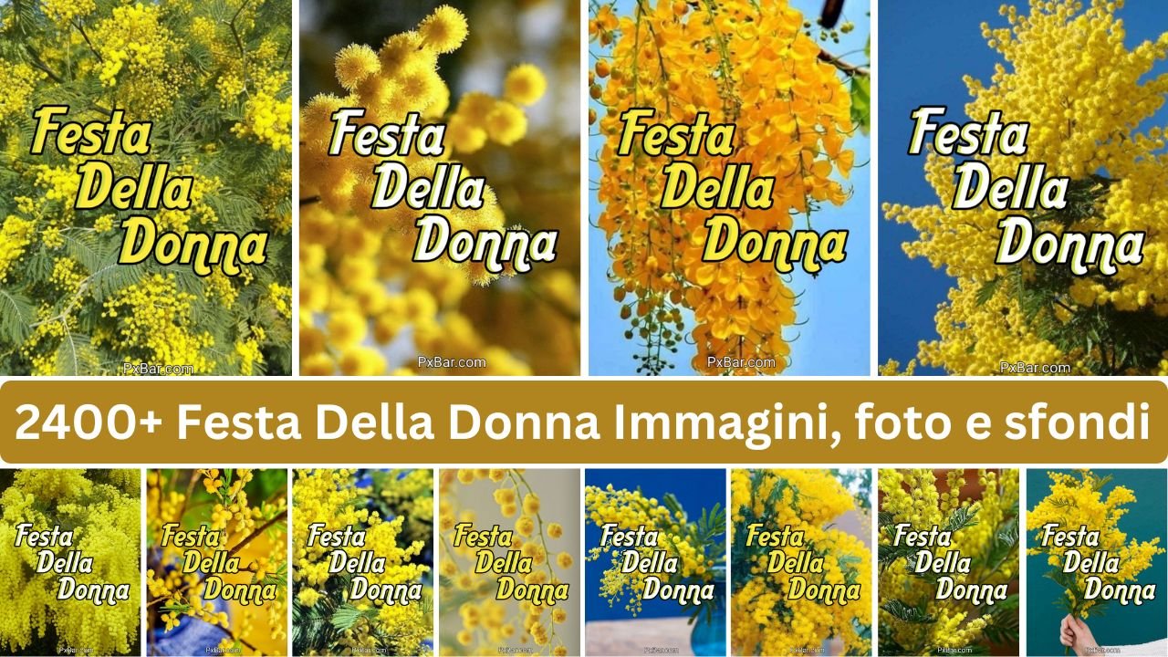 Festa Della Donna Immagini, Foto E Sfondi