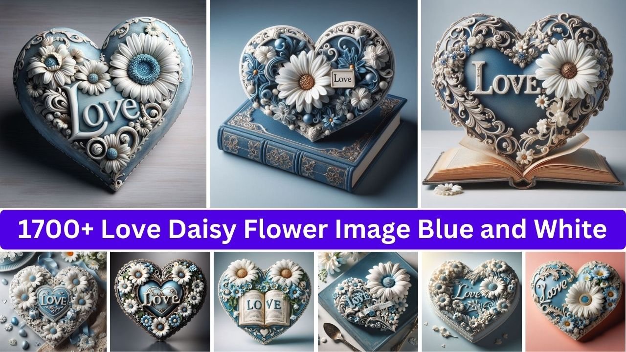 Love Daisy Flower Image Blue And White